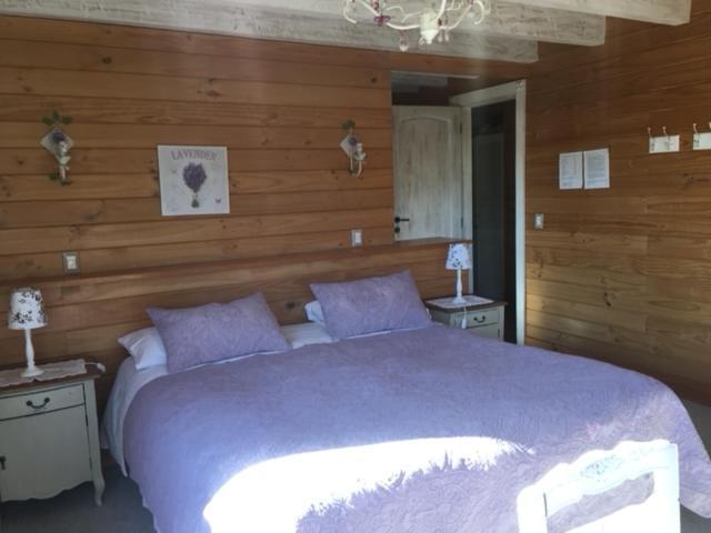 Pucón B&B De German المظهر الخارجي الصورة