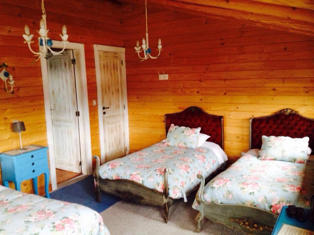 Pucón B&B De German المظهر الخارجي الصورة