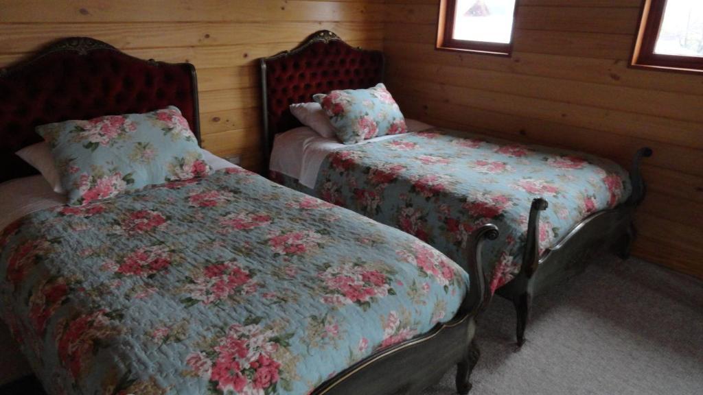 Pucón B&B De German المظهر الخارجي الصورة
