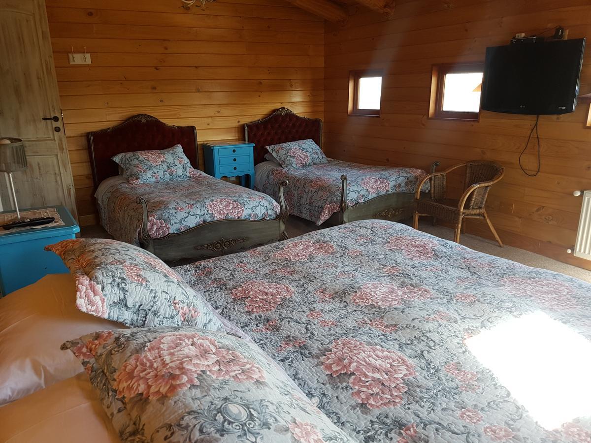 Pucón B&B De German المظهر الخارجي الصورة
